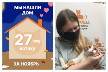 Котик Какао рад познакомить со своей семьёй!