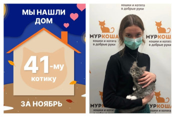 Котёнок Авиатор стал домашним за две недели!