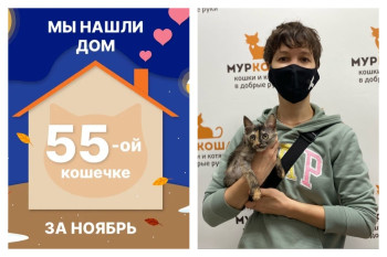 Кошечка Катара отправилась домой спустя два месяца!