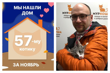 У котика Грэйчика теперь есть дом и семья!