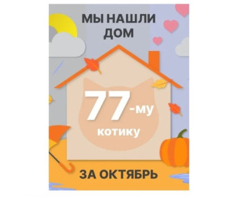 Котик Сёмыч отправился в новый дом!
