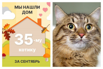Двухлетний Санчоус стал домашним за месяц!