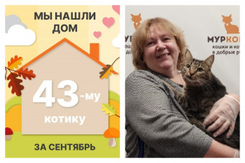 Котик Нанико встретил заботливую хозяйку!
