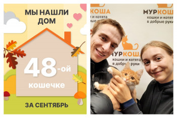 Малышка Лоретта стала домашней за десять дней!