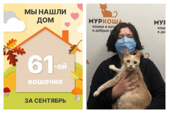 Мы нашли дом для двухлетней Кэсс за полтора месяца!