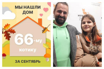 Туманчик нашел надежных хозяев за полтора месяца!