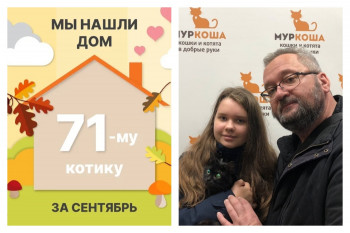 У котика Йохана теперь есть дом и семья!