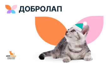 Благотворительный проект "Добролап" от компании "Четыре Лапы"