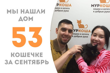 Годовалая кошечка Баффи теперь будет домашней любимицей! 