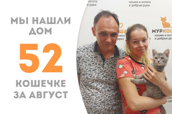 Котёнок Белоника, не пробыв в приюте и двух месяцев, обрела семью и дом! 
