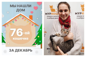 Кошечка Инха уезжает в свой дом!