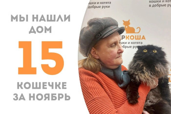 Восьмилетняя красотка Дорама вновь стала домашней любимецей!