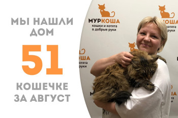 Трёхлетняя кошечка Эфталия, родившаяся в подвале, стала домашней! 