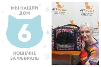Кошечка Лисбет стала домашней и счастливой!