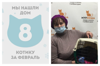 Чудесный котик Суперкот отправился домой!
