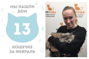 Трейни, Трейли и Зиля начинают новую жизнь!