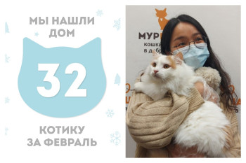 Котик Мамай рад познакомить со своей хозяйкой!