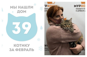 Котик Партизан стал частью прекрасной семьи!