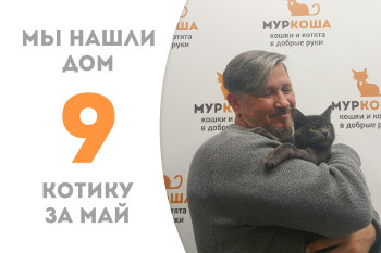 Десятимесячный Флажок встретил своего человека!