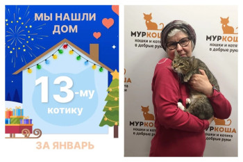 Очаровательный Оливкин стал домашним!