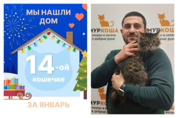 Кошечка Эммануэль стала домашней любимицей!