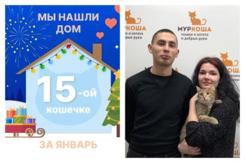 Кошечка Улла встретила настоящих друзей!
