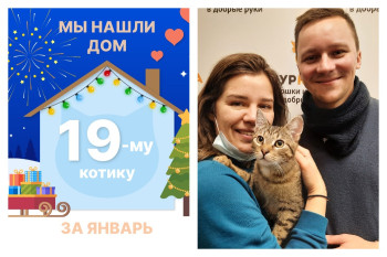 Котик Чокопай стал домашним любимцем!