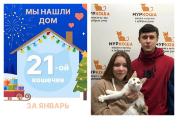 Кошечка Кукумба обрела свою семью!