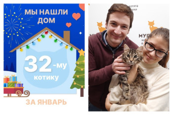 Кот Болидик нашёл свою семью за полтора месяца!