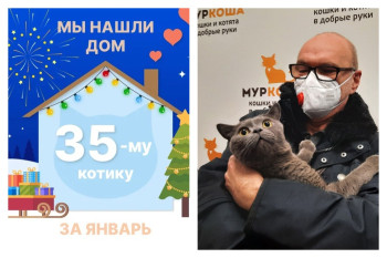 Котик Тэдди отправился в новый дом спустя три недели!