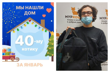 Котик Вассерман начинает домашнюю жизнь!