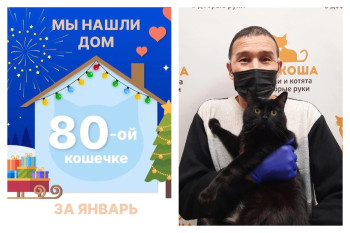 Кошка Шарлин стала домашней!