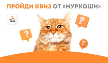 Квиз от "Муркоши"