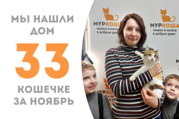 Полугодовалая кошечка Лиличка обрела дружную семью! 