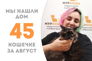 Пятилетняя кошечка Лотти стала домашней! 