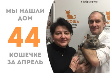 Кошечка Лялечка стала домашней и любимой! 
