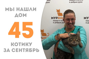 Котик Максикс начинает счастливую домашнюю жизнь спустя пять дней после воцарения в приюте! 