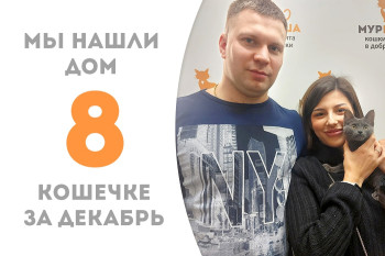 Пятимесячная кошечка Марая, спасённая с помойки, нашла себе семью за два месяца!