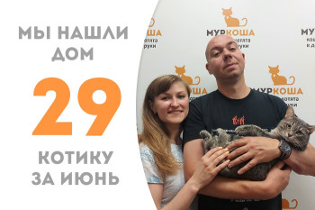 Уличный котик Маркуша стал домашним! 