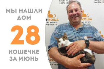 Четырёхлетняя кошечка Марюша нашла новый дом за три месяца! 