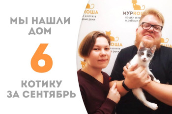 Чуть более двух месяцев в приюте провёл котёнок Медочек и уехал домой! 