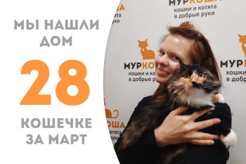 У кошечки Мурлианы теперь есть дом и семья!