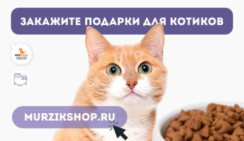 Закажите подарки для котиков