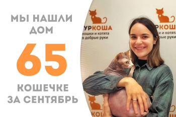 Кошечка Мяука нашла для себя добрую хозяйку менее чем за три месяца!