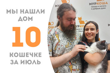 Кошечка Принцесска стала домашней, пробыв в приюте чуть более двух месяцев! 