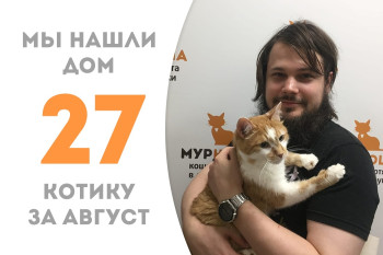 Десятилетний котик Пудинг нашёл своё счастье! 