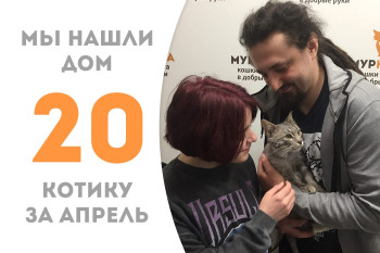 Счастье улыбнулось котику Рокеру спустя два месяца адаптации в "Муркоше"!