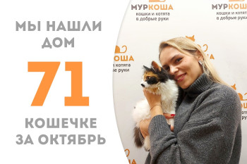 Полугодовалая кошечка Сонатина, проведя два с половиной месяца в приюте, обрела счастье! 