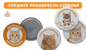 Сувениры от "Муркоши"