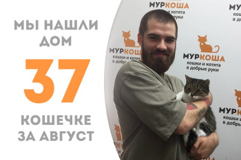 Кошечка Теодора нашла своего человека!